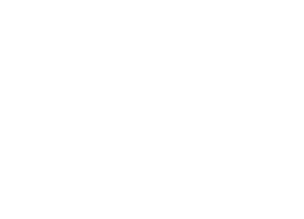 BAESA